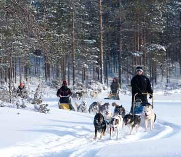 Merkittyjä vaelluspolkuja on noin 90 km, perinteisen tyylin hiihtolatuja n. 20 km puiston alueella ja koko Hossassa yhteensä 45 km.