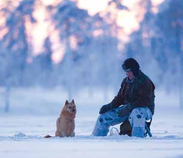 90 km, joiden varsilla on kulkijoiden käytössä nuotiopaikkoja, laavuja, autiotupia ja vuokrakämppiä. Osa kämpistä ja poluista soveltuu myös liikuntaesteisille.