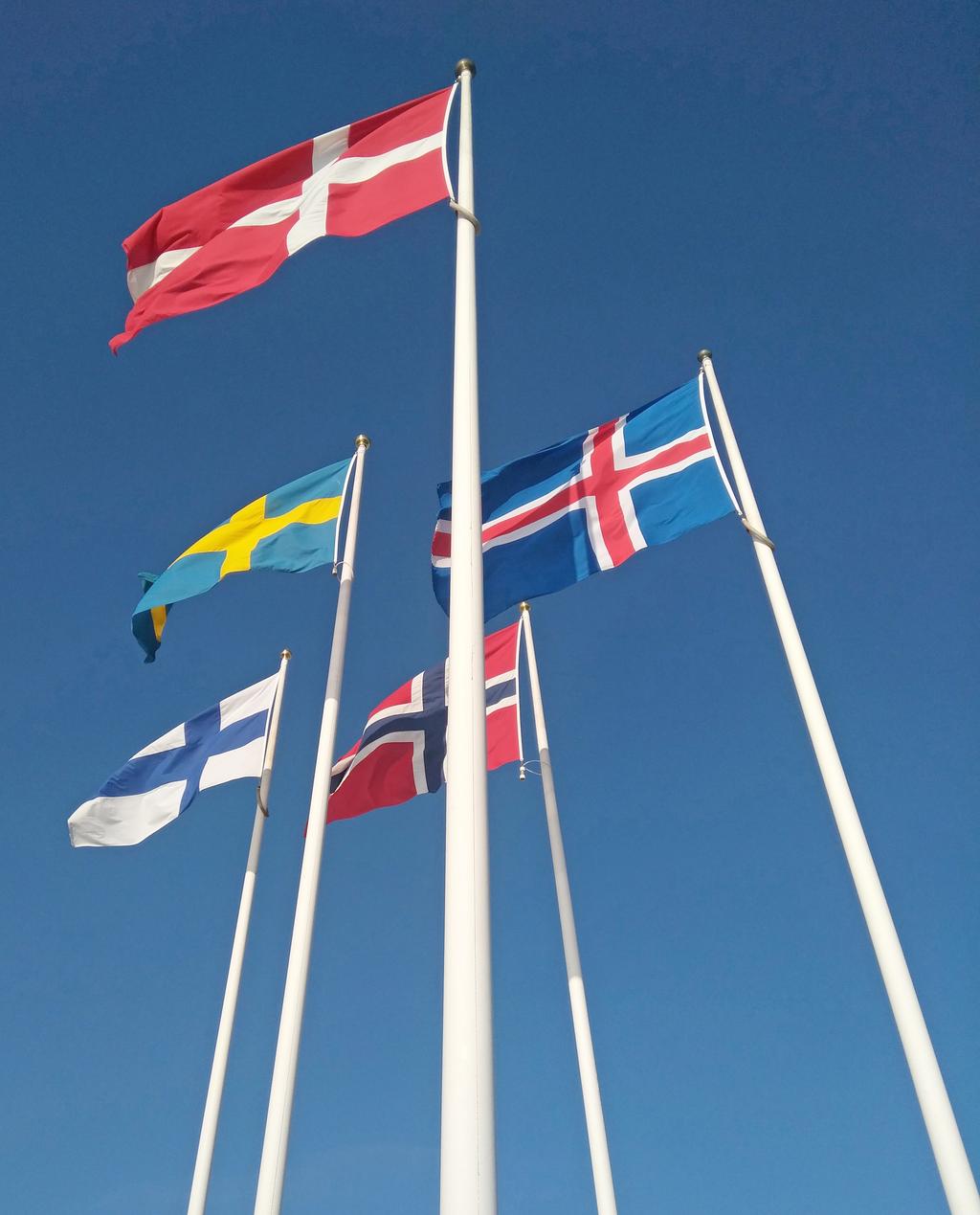 Sijoituksen riskiluokka 1 1 2 3 Pienempi riski 4 5 6 7 Suurempi riski Pohjoismaiset Pankit Bonustuotto Osakekorisidonnainen joukkovelkakirjalaina Viiden pohjoismaisen pankin muodostaman osakekorin