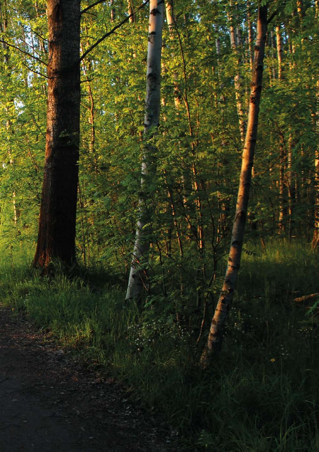 To do -lista Olen tarkistanut, että Aalto tunnukset toimivat 3.8.