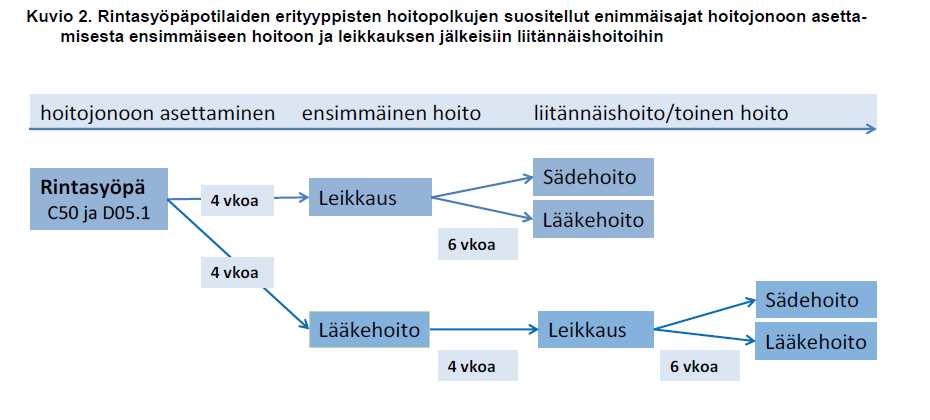 Esimerkki rintasyöpäpotilaan hoitopolusta Lähde: Maarit Sillanpää, Liisa Pylkkänen ja Pirjo Häkkinen (toim.).