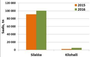 Kilohailikiintiön pienuus vaikeutti silakankalastusta - Suomenlahdella - Paljon laihaa kilohailia - Kilohailikiintiö kalastettiin nopeasti pois - Saaristomerellä - Tammi-helmikuussa Länsaukolla ja