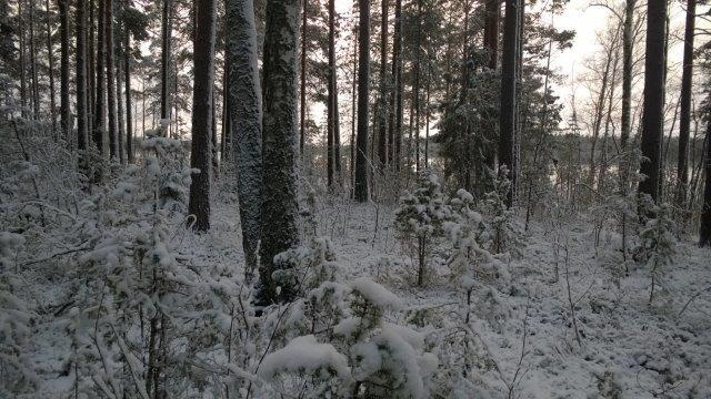 Rakennuspaikan käyttöä rajoittaa myös sen kapeus, avautuva varjoisa ilmansuunta sekä eteläpuolella loivassa niemessä oleva rakennettu ja vielä rakentamaton rakennuspaikka.