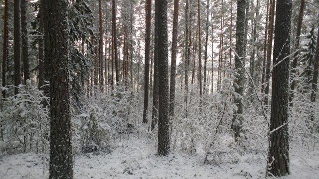 400 metrin päähän lounaaseen päin rakennettavuudeltaan selkeästi parempaan paikkaan Suorainniemen eteläosan ranta-alueelle. Vapaan rannan osuus ei juurikaan muuttuisi muutoksen myötä.