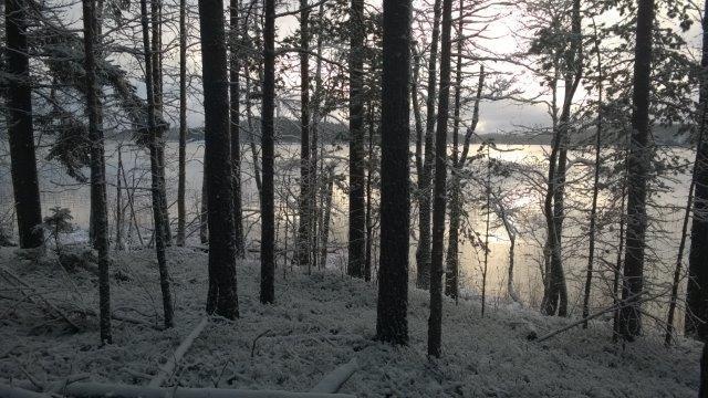 Yleiskaavan selostus / hyväksymisvaihe 11.12.2017 Kaupungin asettamat tavoitteet Alustavissa neuvotteluissa Jari Ahonen on todennut maanomistajan esittämät tavoitteet toteuttamiskelpoisiksi. 4.