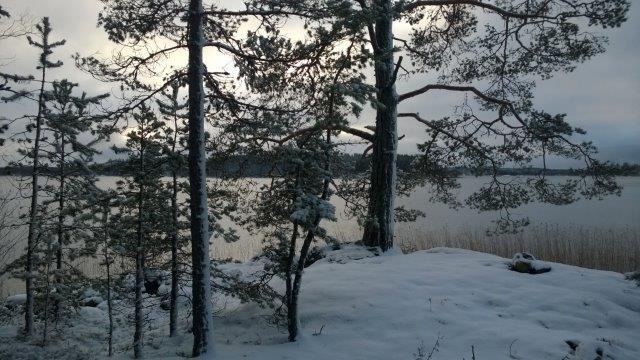 Kaavaluonnoksesta ei jätetty huomautuksia. Seuraavissa viranomaislausunnoissa ei ollut kaavaluonnoksesta mitään huomautettavaa: - Etelä-Savon pelastuslaitos 10.3.2017 - Etelä-Savon maakuntaliitto 13.