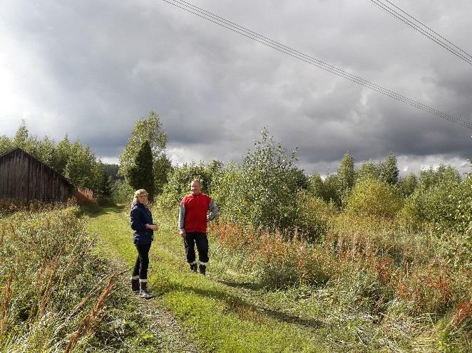 TÄHÄN LISÄOTSIKKO, HANKETIETOA TAI KESKEIN VIESTI MKN-asiantuntija: - Tarkistaa, että kyseessä