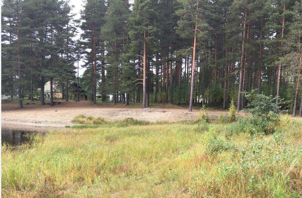 Vastaanottaja Paula Lamminsalo Joensuun kaupunki Kaupunkirakennepalvelut