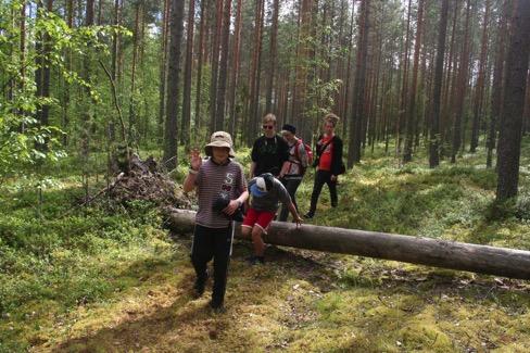 Pyrimme näkemään norppia liikkuessamme järven läheisyydessä tai järvellä meloessa.