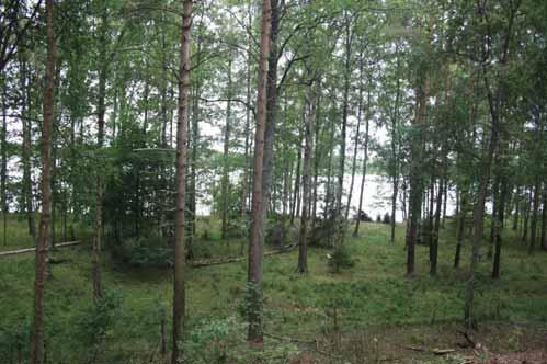 Köyliönjärven maisema-alueella on 10 perinnebiotooppikohdetta, jotka edustavat enimmäkseen metsälaitumia ja rantaniittyjä.