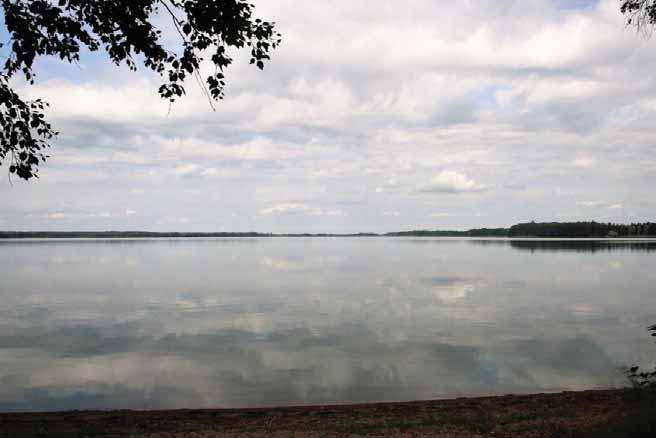Kankaanpäässä on upea uimaranta. Kuva: Niina Uusi-Seppä. Kuninkaanlähteeltä laskee puro Köyliönjärveen uimarannan pohjoispäässä. Puron varressa kasvaa lehtoa.