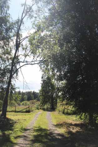 Kirkkokarin saavutettavuuden parantaminen ja matkailullinen kehittäminen on kokonaisuus, johon pitäisi paneutua Säkylän kunnan, Köyliö-seuran, Ristolan kyläyhdistyksen ja maanomistajien yhteisissä