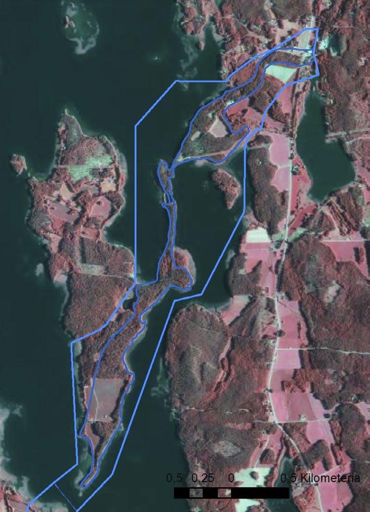 YMPÄRISTÖMINISTERIÖN JULKAISUJA 3/2018 Kuva 4a ja 4b Esimerkki pohjavesialueen rajaamisesta alueella, jolla pohjaveteen imeytyy rannan kautta (rantaimeytyminen) pintavettä.