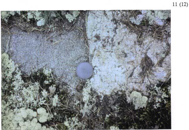 Kuva 9: Säteilevää graniittia V-M