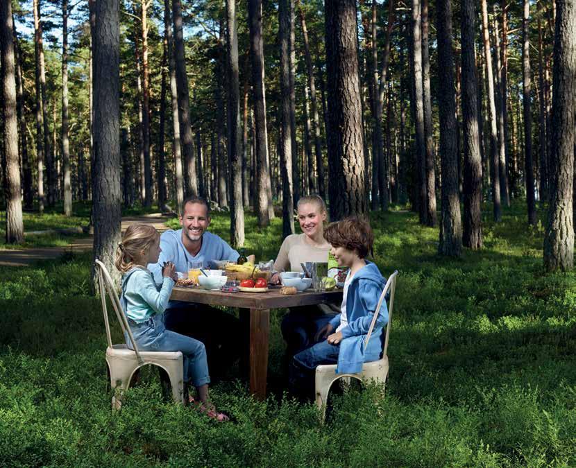 VALLOX CAPTO LIESIKUVUT JA -TUULETTIMET Vallox Capto -liesikuvuissa ja tuulettimissa on monta tyylikästä yksityiskohtaa kuten matala etupaneeli, kapasitiiviset kosketuskytkimet sekä sisään