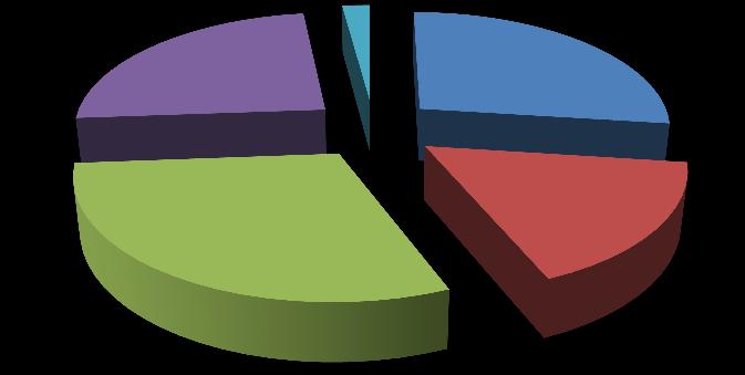 21 2 % Asiakirjavalvonta pääluokat 27 % Omavalvontalomakkeet 155 kpl 24 % 27 % 17 % Pelastussuunnitelmat 96 kpl 30 % 17 % 30 % Yleisötapahtumien pelastusuunnitelmat 172 kpl 24 % Palotek. laitt.