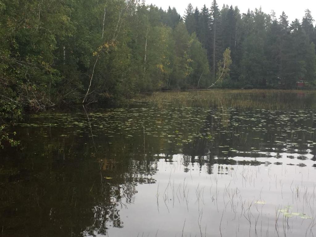 järveltä