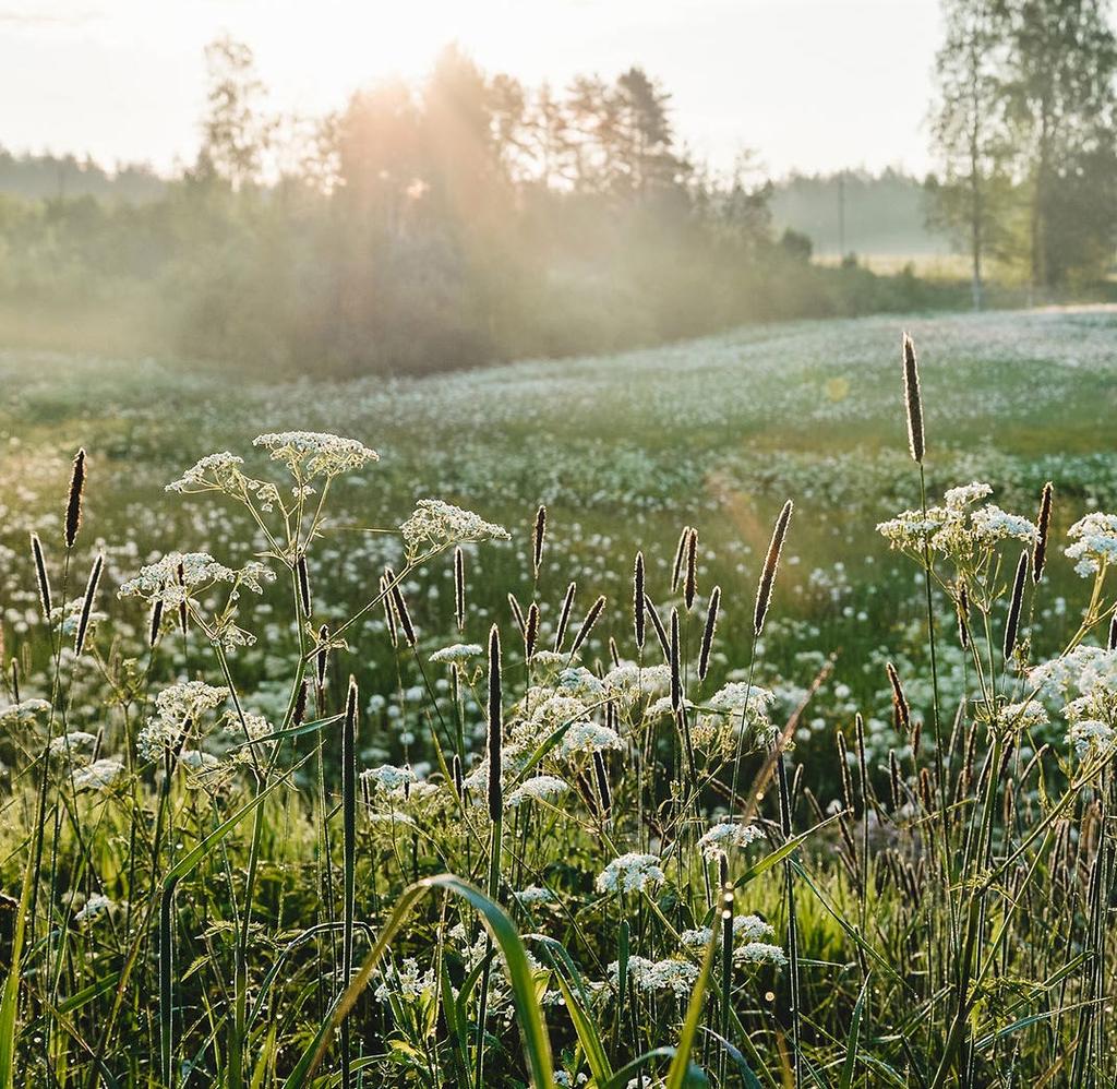 Yhteiskunnan hyväksi S-ryhmä ja siihen kuuluvat osuuskaupat luovat hyvinvointia koko Suomen alueelle.