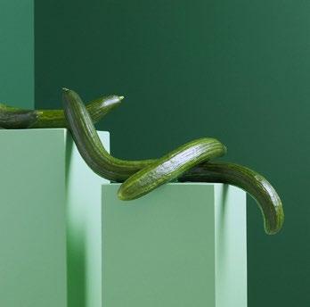 että ylitimme etuajassa vuoden 2020 tavoitteen.