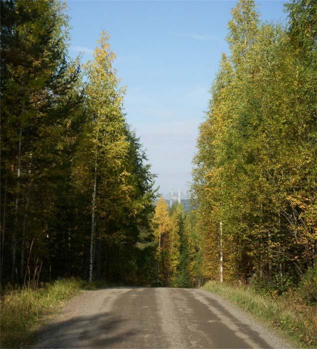 4 Alueen eteläosan noroympäristöä voidaan pitää mahdollisena metsälain 10 :n mukaisena erityisen tärkeänä elinympäristönä.