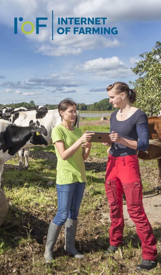 Maatalouden internet ja ruokintaosaaminen nostavat maitotilojen tuottavuutta Tuotostutka jalostaa
