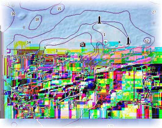 Insight- ja C-MAP-kohtaiset