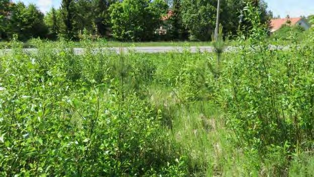 Alueen luontotyypit eivät täyttäneet vesilain mukaisia vesiluonnon tyyppejä, metsälain mukaisia kohteiden eivätkä luonnonsuojelulain mukaisia luontotyyppejä.
