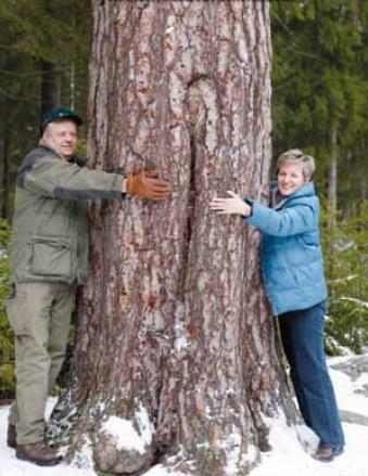 50 ETELÄ-KARJALAN Yhteismetsä Etelä-Karjalaan perustettu yhteismetsä Helppo tapa omistaa metsää Metsän omistus muuttaa