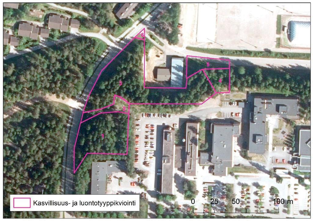 HYVINVOINTIASEMAN LUONTOSELVITYS 5. KASVILLISUUS JA LUONTOTYYPIT 5.1 Menetelmät 7 Alueelle tehtiin luontokartoitus 1.6.2018.
