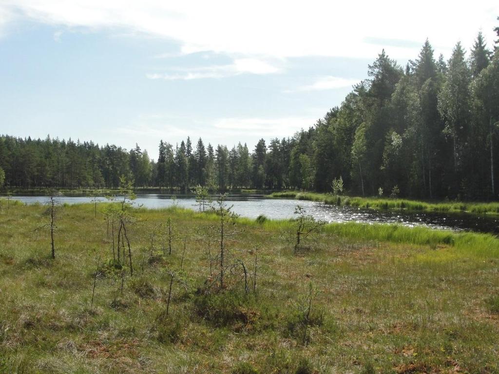 2 / 3 Laihalammi oli heinäkuun puolivälissä voimakkaasti lämpötilakerrostunut.