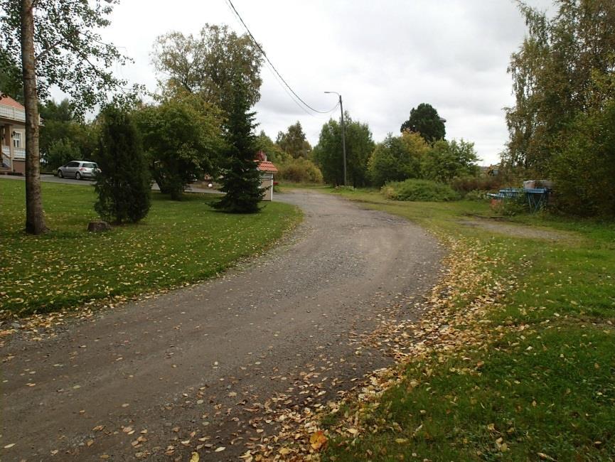 6 Kuvia Kuvattu tutkimusalueen länsiluoteiskulmalta kaakkoon.