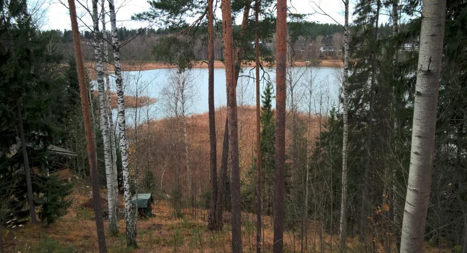 todettiin metsäisillä ranta-alueilla ja niiden liepeillä. Luontodirektiivin liitteen II lajeja alueelta ei ole tavattu.