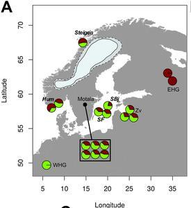 Skandinavia Kivikausi Gunther et al.