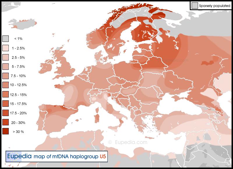 Äitilinjat Kokonaisuutena katsoen varsin eurooppalaisia (H, U, V, J, T, K, W) Harvinaisina