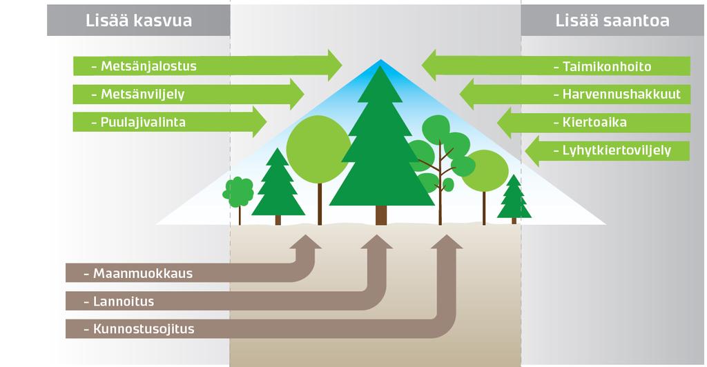 Keinot lisätä kasvua ja säädellä raaka-aineen laatua