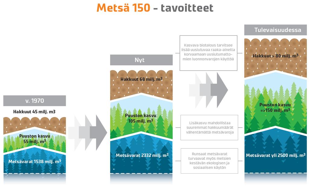 Metsävarat ja hakkuut: eilen, tänään ja