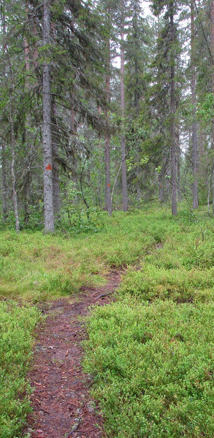 LEVILLÄ KESÄ- JA HYVIN- VOINTIPALVELUJA TARJOAVIA YRITYKSIÄ Environmental-friendly Logistics (ELog) osk Kokemusluontomatkailu; hilla-, kalastus- ja metsästysretket. matti.tikkanen@elog.