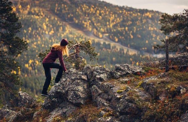 Luontoelämyksille tärkeiksi luettiin hyvätuottoiset marja- ja sienimaat, näköalapaikat sekä runsaslajiset metsät ja niityt.