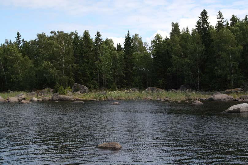 Mustasaaren kunnan rakennusjärjestys on tullut voimaan 1.8.2013.