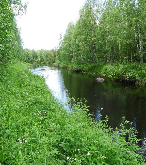 Alueen pohjoisosa rajoittuu peltoon. Muilta osilta suo rajoittuu talousmetsiin ja ojitettuihin suometsiin. Suon kaakkoisosa jatkuu luonnontilaisena Takaaapana.