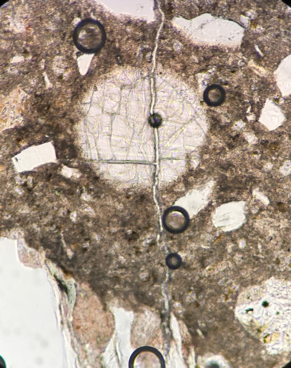 Kuva 11. Reagoinut kiviainekappale (merkitty punaisella nuolella) vasemmalla, josta alkaa mikrosärö.