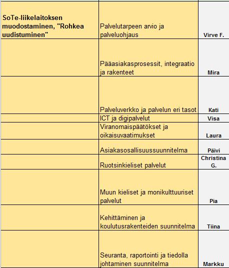 sosiaalihuollon valmistelija Leena