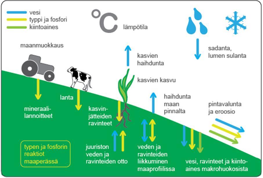 Taustatietoa, VEMALA/ICECREAM VEMALA laskee ravinnekuormitusta kaikista Suomen vesistöistä kuormituslähteittäin ICECREAM on peltoskaalan prosessimalli,