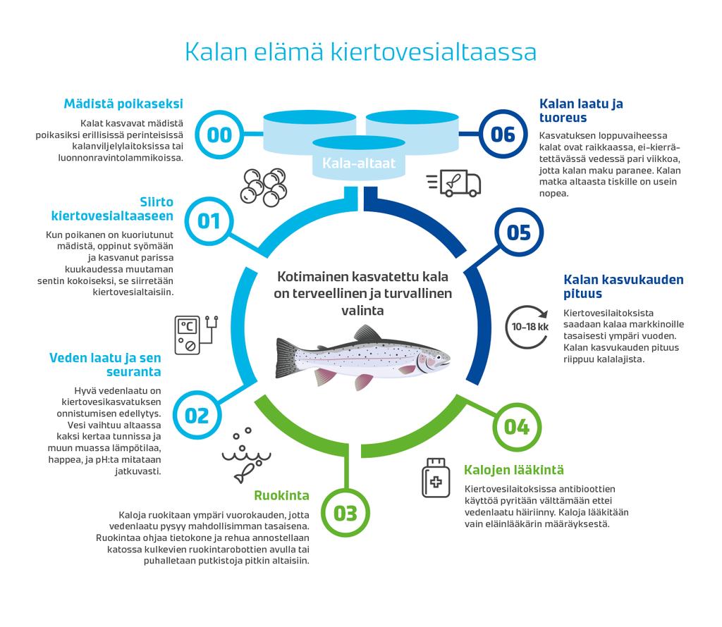 Pe esitys triploidit Matti Janhunen Nelma-siika risteymä ja triploidia JALO-kirjolohi kiertovedessä Makuvirheiden mittaus yrityksissä Kuhan mädin lypsy Makuvirheiden