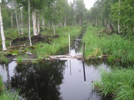 Materiaalien kuljetus tulevissa opintojaksoissa Erilaisten materiaalien kuljetusta ja kulkeutumista sivutaan lukuisissa opintojaksoissa esim.