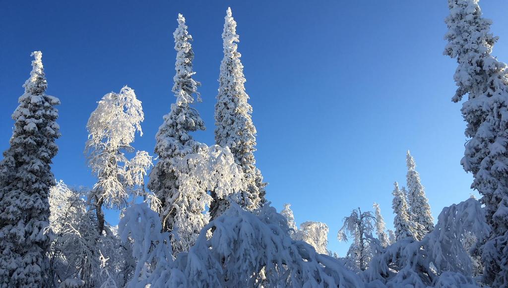 Pohjoismaat vihreässä murroksessa Pohjoismaiden talouden tulee tulevaisuudessa perustua siihen, että materiaalit säilyvät kierrossa mahdollisimman pitkään.