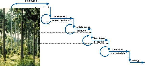 Material efficiency and circular economy Extended product life and wood cascades How do we maximize the substitution and carbon storage benefits of wood products in construction?