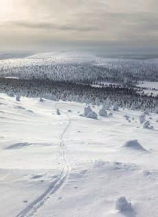0 AIEA V AANANAI IIAI EIVII V åndag isdag nsdag 0 alme Gurli HEINÄ JUI eimo iten EUU AUGUI ahja Yrsa RAI orsdag aire Gerda ERJANAI