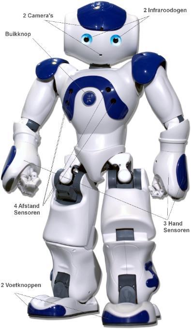 Zora-robotista 2 kameraa Infrapunasilmät Käynnistyspainíke kaiuttimet 4 etäisyyssensoria 3 sensoria käsissä ZORA = Zorg Ouderen Revalidie en Animatie (Kuntoutus ja liikunta vanhustenhoidossa) 57 cm