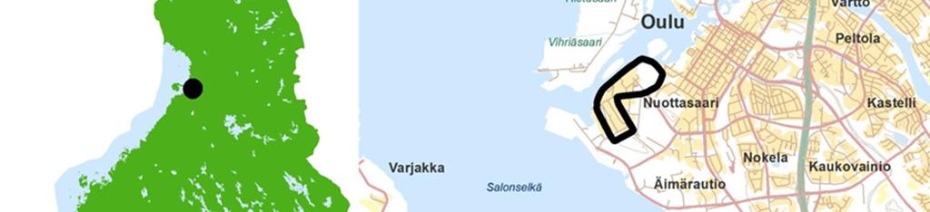 Nykyisen paperintuotannon epätyydyttävän kannattavuuden sekä pakkauskartongin kasvavan kysynnän vuoksi Stora Enso on ryhtynyt selvittämään Oulun tehtaan